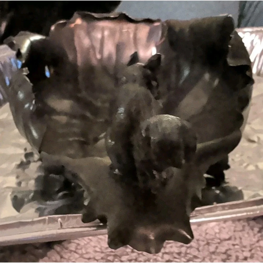 Antique Pairpoint Manufacturing Co. Squirrel On Bowl. Victorian.Signed Quadruple